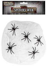Load image into Gallery viewer, Spider Web with 5 Spiders