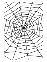 Load image into Gallery viewer, Black Stretchable Thick Spider Web with Spider
