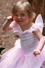 Load image into Gallery viewer, Rosebud Fairy 18- 24 Months