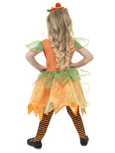 Load image into Gallery viewer, Pumpkin Fairy Costume