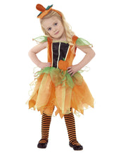 Load image into Gallery viewer, Pumpkin Fairy Costume