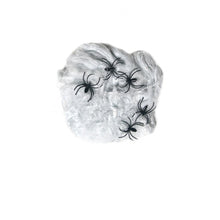 Load image into Gallery viewer, Spider Web with 5 Spiders