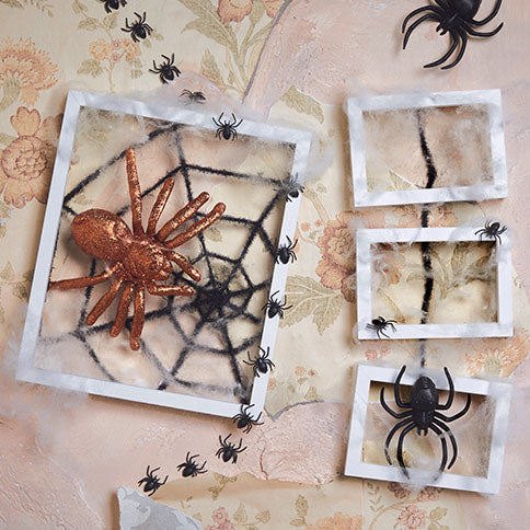 Halloween Spiders & Webs