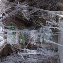 Load image into Gallery viewer, Spider Web with 5 Spiders
