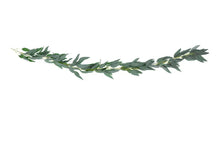 Load image into Gallery viewer, Willow Leaves Garland - 2m
