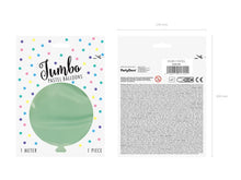 Load image into Gallery viewer, 1 Metre Latex Balloon - Pastel Pistachio
