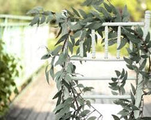 Load image into Gallery viewer, Willow Leaves Garland - 2m
