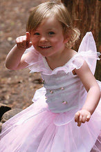 Load image into Gallery viewer, Rosebud Fairy 18- 24 Months
