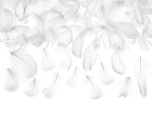 Load image into Gallery viewer, Decorative White Feathers, 3 Grams
