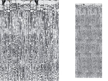 Load image into Gallery viewer, Silver Shimmer Curtain Backdrop
