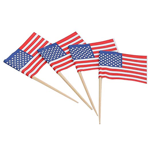 USA Flag Picks (x30) – PartyTime Malta