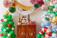 Load image into Gallery viewer, Fringe garland - silver
