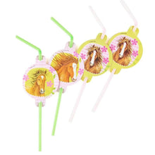 Load image into Gallery viewer, Horse Party Straws - 8pcs
