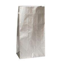 Load image into Gallery viewer, Silver Metallic Paper Party Bags, 10ct
