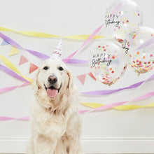 Load image into Gallery viewer, Ginger Ray Birthday Pet Party Kit For Dogs &amp; Cats
