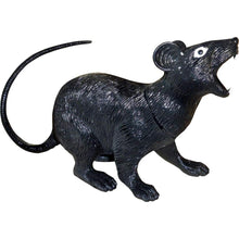 Load image into Gallery viewer, Black Rat
