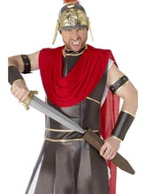 Load image into Gallery viewer, Roman Sword and Holder
