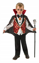 Load image into Gallery viewer, Dracula Childrens Costume - Large
