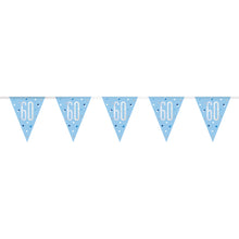 Load image into Gallery viewer, Age &quot;60&quot; Glitz Blue &amp; Silver Prismatic Plastic Flag Banner (9ft)

